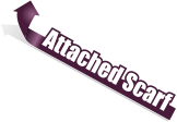 Attached Scarf