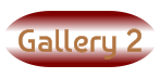 Gallery 2