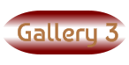 Gallery 3