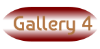 Gallery 4