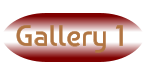 Gallery 1