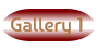 Gallery 1